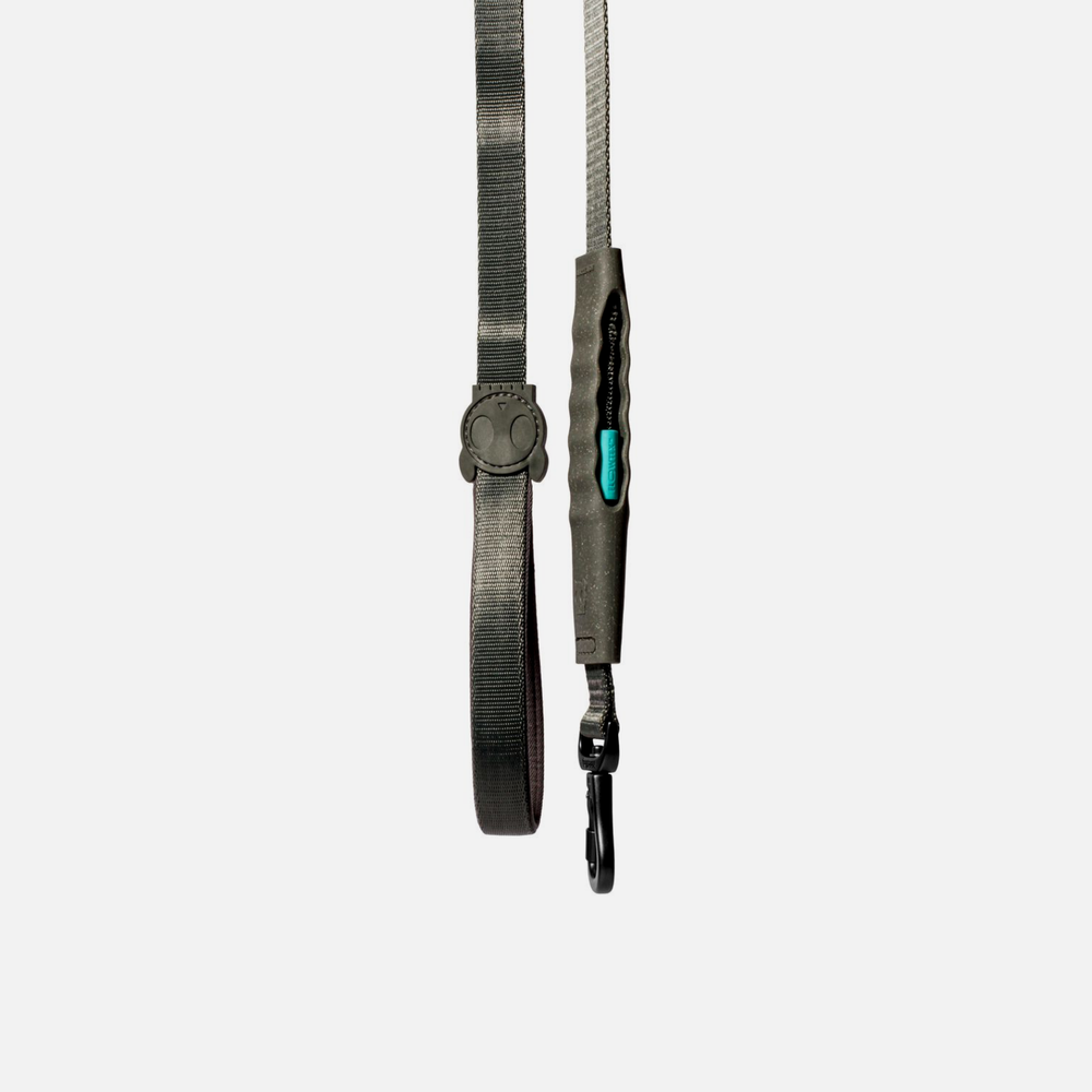 Амортизирующий поводок Air Carbon 150 см Zee.Dog