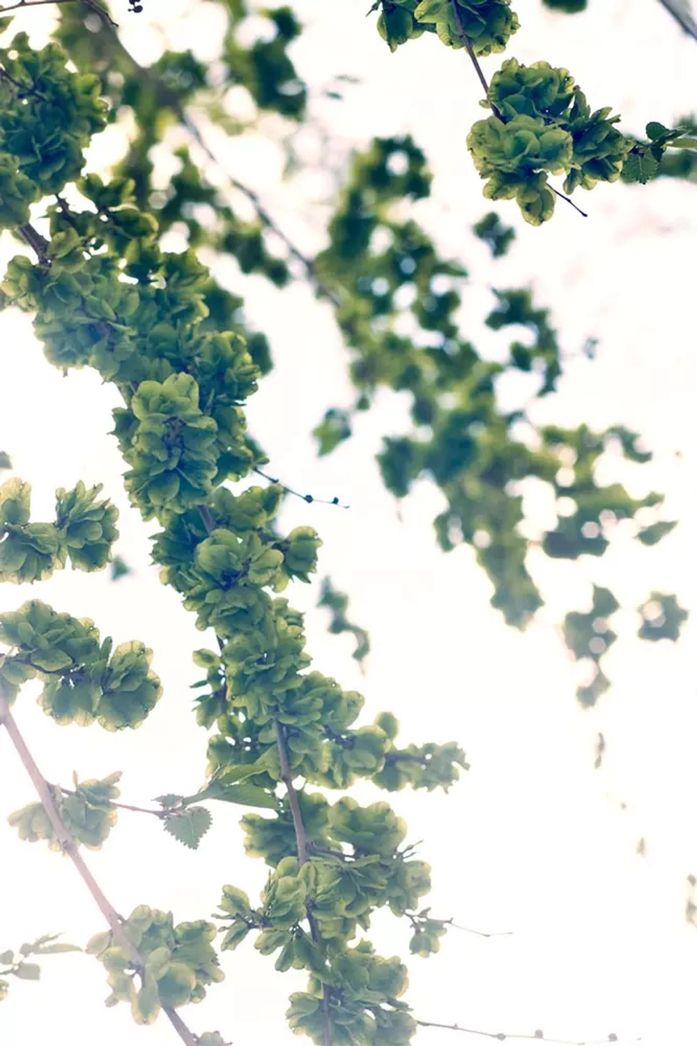 Цифровое панно ID Wall SPRING