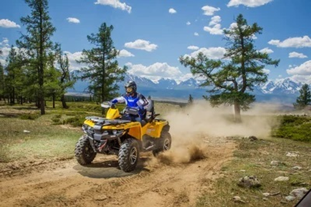 Квадроцикл СТЕЛС ATV 650 Guepard Trophy EPS CVTech