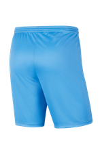 Шорты Nike Dry Park III