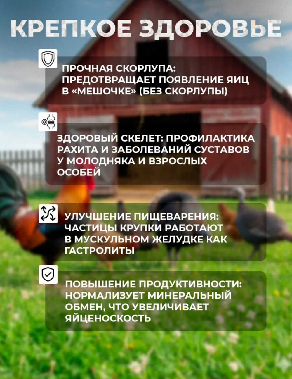 Известняковая крупка для птиц и грызунов, 1 кг
