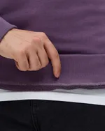 Толстовка Anteater Crewneck BigLogo фиолетовая