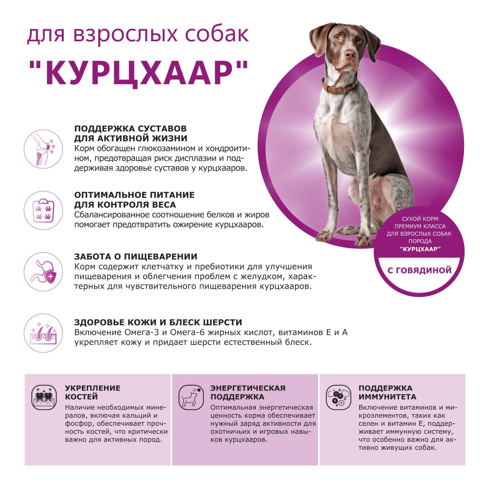 Корм сухой для взрослых собак породы Курцхаар, премиум полнорационный комплекс, с говядиной, 12 кг, QUATTRO