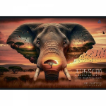 Альбом для рисования 28,5 *19,0 см., 40л., Alingar, на скрепке, мелованный картон (стандарт), 100 г/м2, "Животные", 2 дизайна в пленке т/у