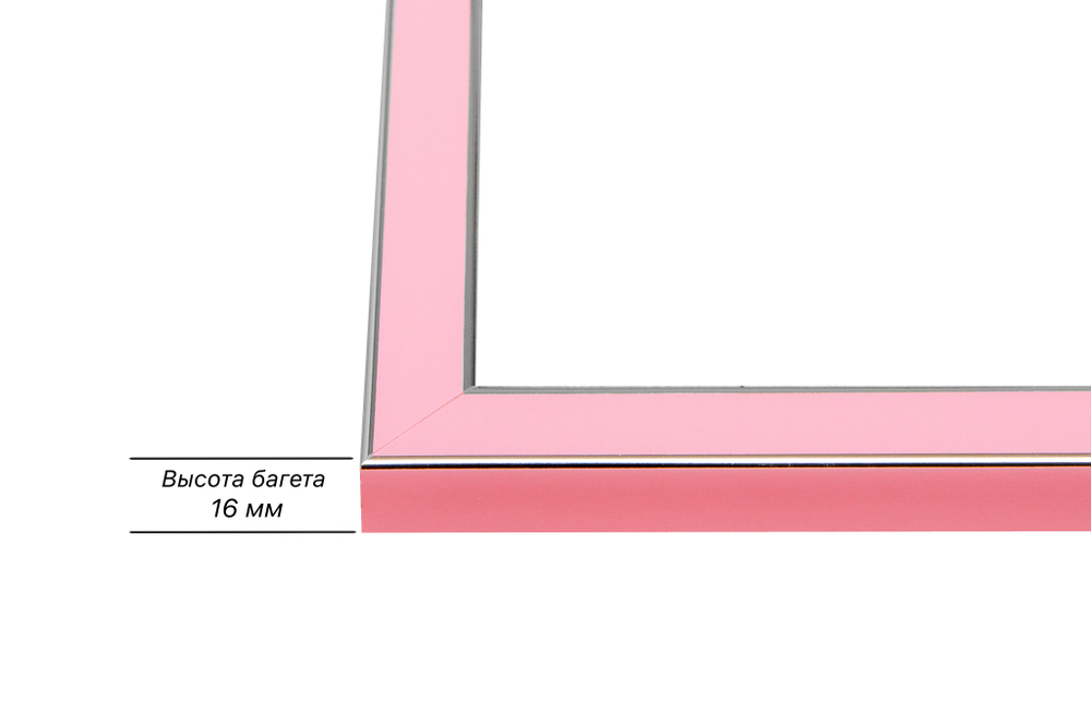 Рама 40x95 для картин и фотографий RP0760256-55