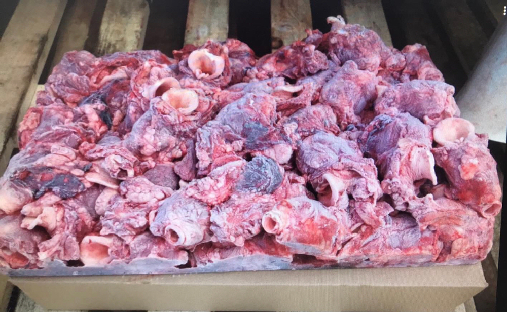 Калтык свиной (хрящ, мясо)