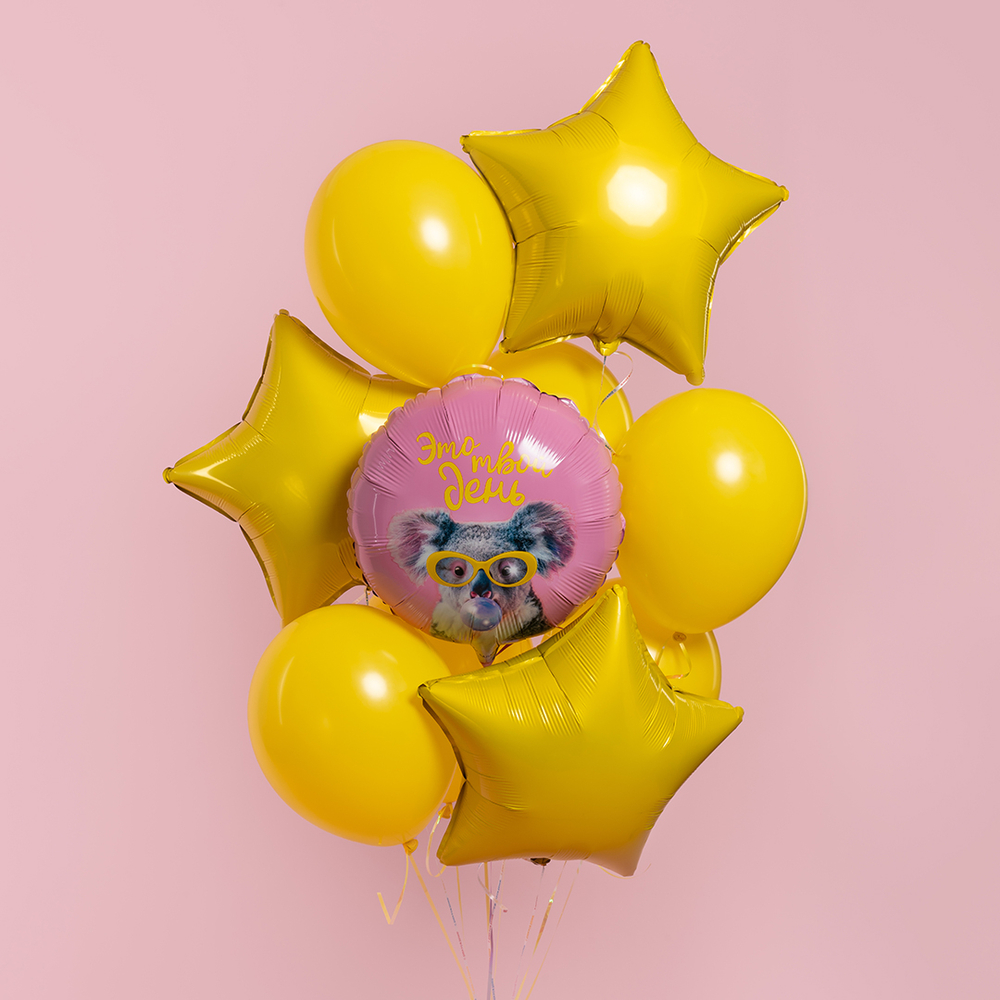 Шар (18''/46 см) Круг, Это твой день (коала)