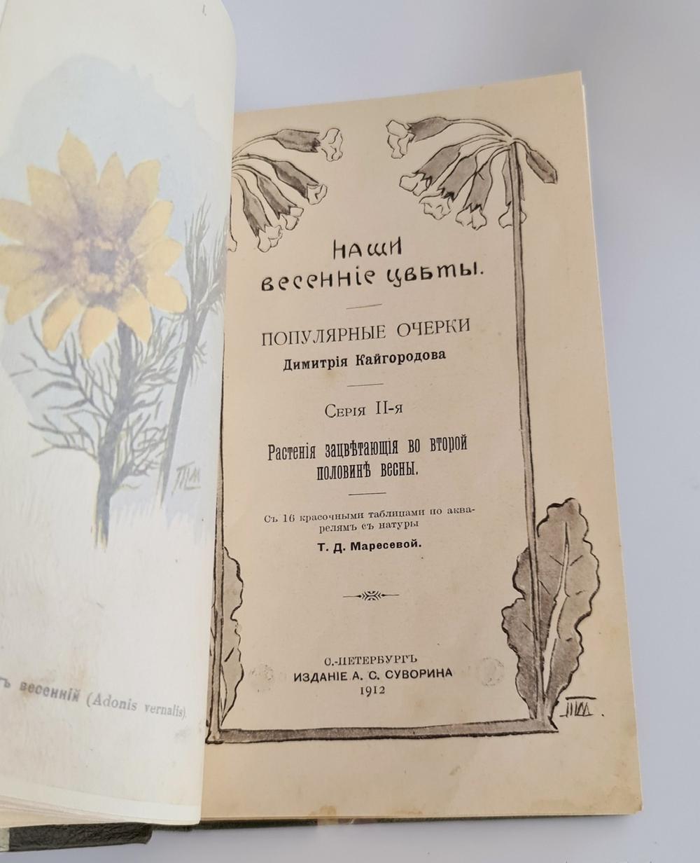 "Наши весенние цветы. Серия 1-3. Наши летние цветы. Серия 1-2". Д.Н.Кайгородов. 1915 г.