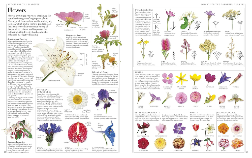 RHS A-Z Encyclopedia of Garden Plants 4th edition