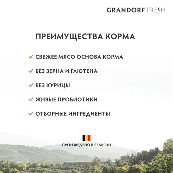 Уценка! Срок 17.08.26/ Сухой корм GRANDORF Fresh Cat KITTEN Lamb&Sweet Potato для котят из свежего мяса ягненка с бататом