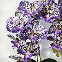 Искусственные Орхидеи Леопардовые 2 ветки латекс в кашпо, 55см