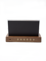 Погодная станция  LA CROSSE WS6206, цветная, с подставкой "под дерево"