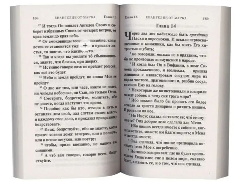 Святое Евангелие крупным шрифтом в мягкой обложке