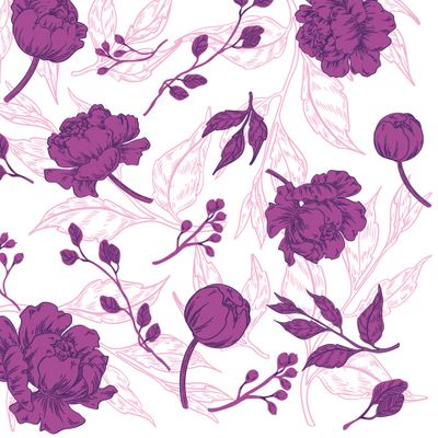 Пионы бордо