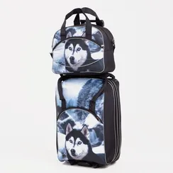 Чемодан на молнии 19", дорожная сумка, цвет чёрный