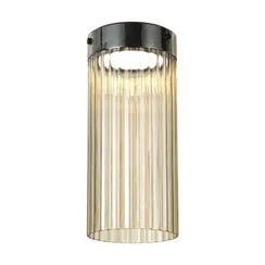 5047/10LC L-VISION ODL24 000 черный/светл.янтарный/металл/стекло Потолочный светильник LED 10W 4000К 1237Лм PILLARI