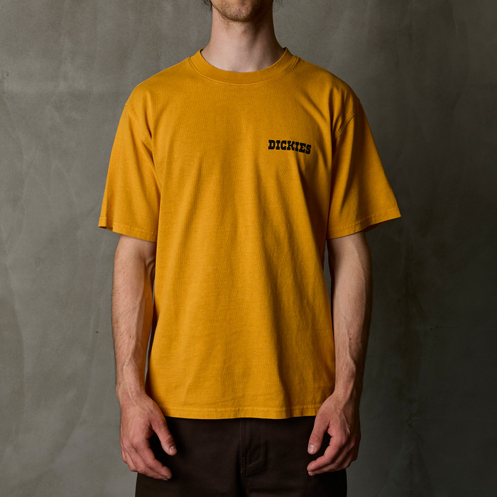 Футболка мужская Dickies Darrtown Short Sleeve Tee 