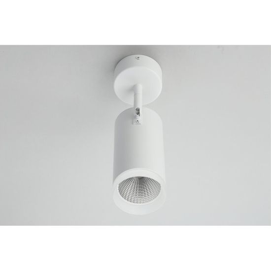 Светильник настенно-потолочный OML-102609-20