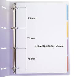 Тетрадь на кольцах БОЛЬШАЯ 305х235мм А4, 120л, пластик, с разделителями, BRAUBERG, Фиолетовый,404623