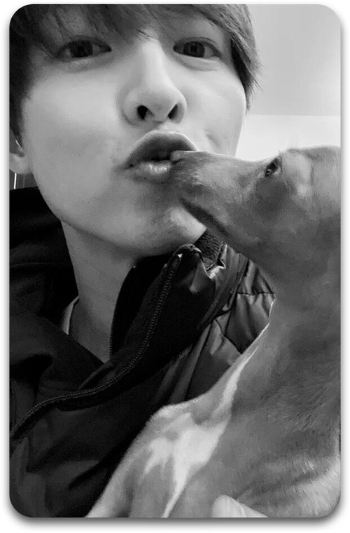 Карта #1965 / Song Joongki