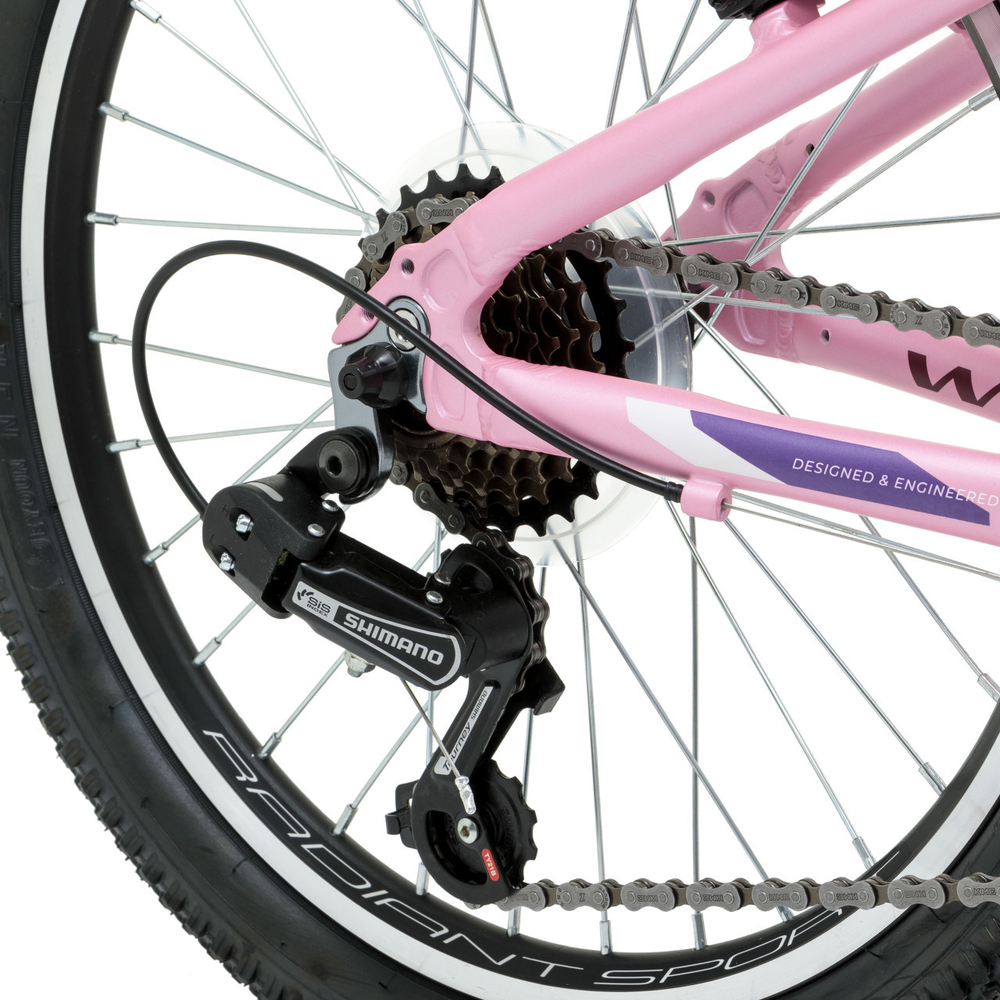 Детский велосипед Welt Floxy 20 R (2024)