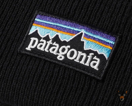 Шапка Patagonia