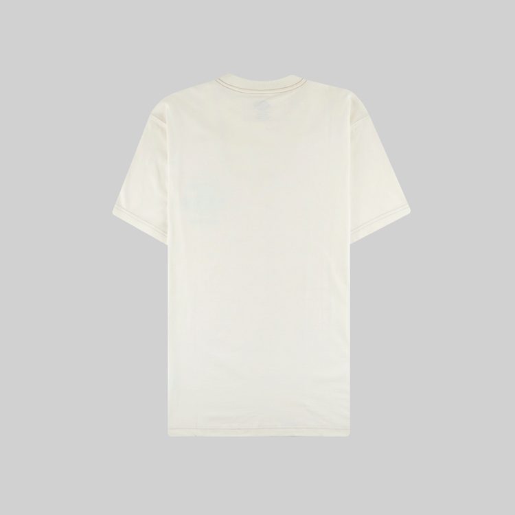 Футболка мужская Dickies Halma артикул:DK0A4X9NECR1 - купить в магазине Дайс