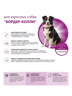 Сухой корм для собак породы Бордер-колли, с говядиной, 12 кг