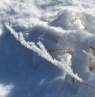 Международная Священная Алхимическая Музыкальная Церемония: «Рождение Новой Земли»