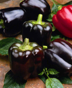 Перец Маврас F1 7шт ВитаГрин ЭКСТРА