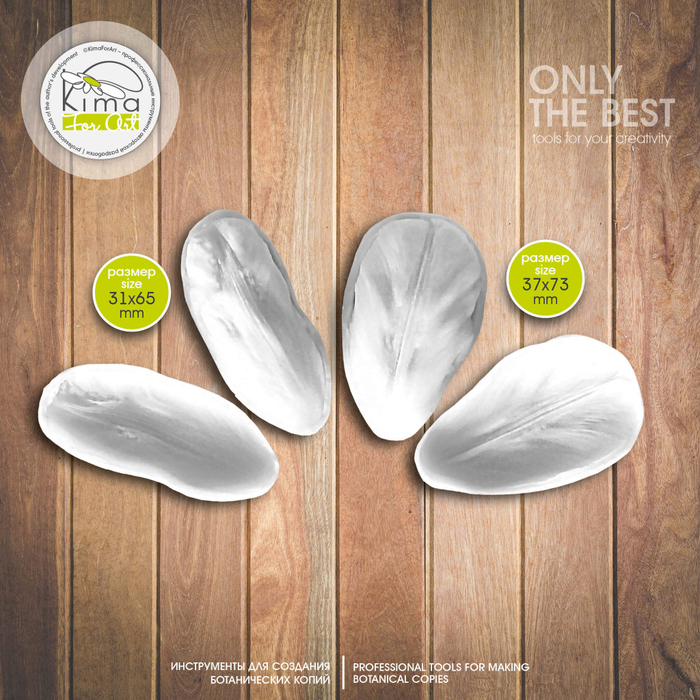 Тюльпан лепестки