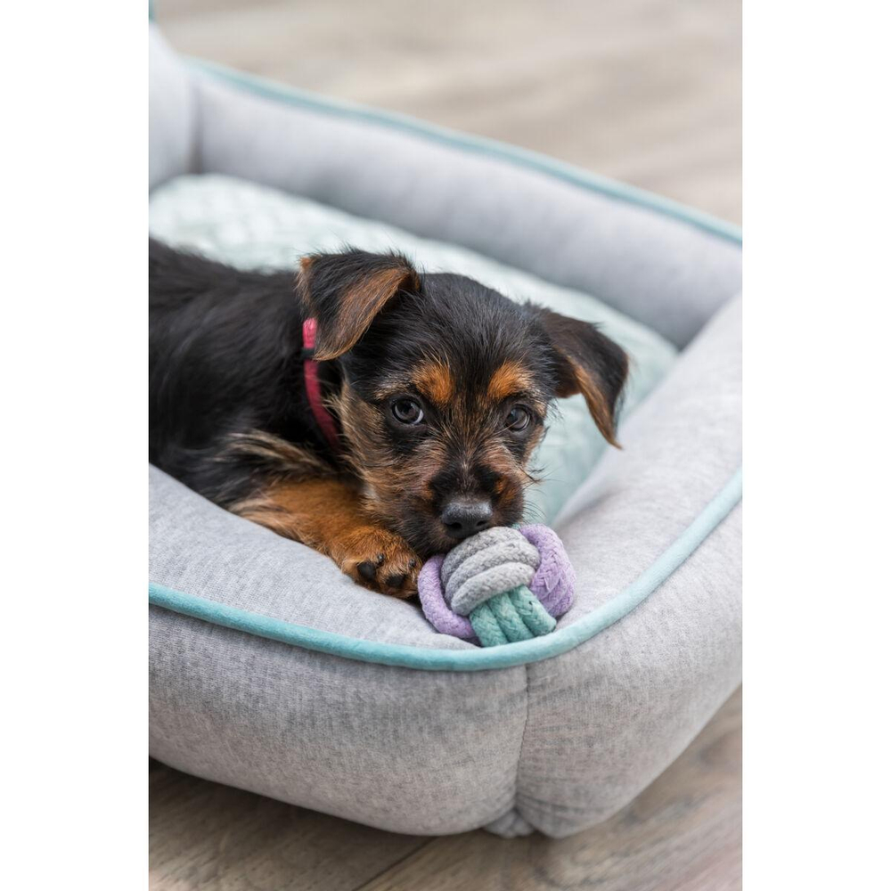 Игрушка для собак Trixie Junior , размер 15x3x1.5см.