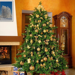 Ель искусственная Царь Елка Астерия премиум, АСТР/ПР-150