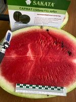 Сармат F1 семена арбуза (Sakata / Саката)
