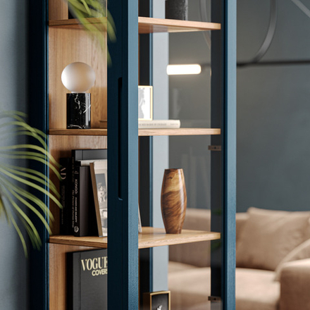 Узкая витрина Case CS161