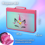 Папка на молнии BRAUBERG А4 с ручкой с органайзером 1 отделение "Unicorn" (2 штуки в упаковке)