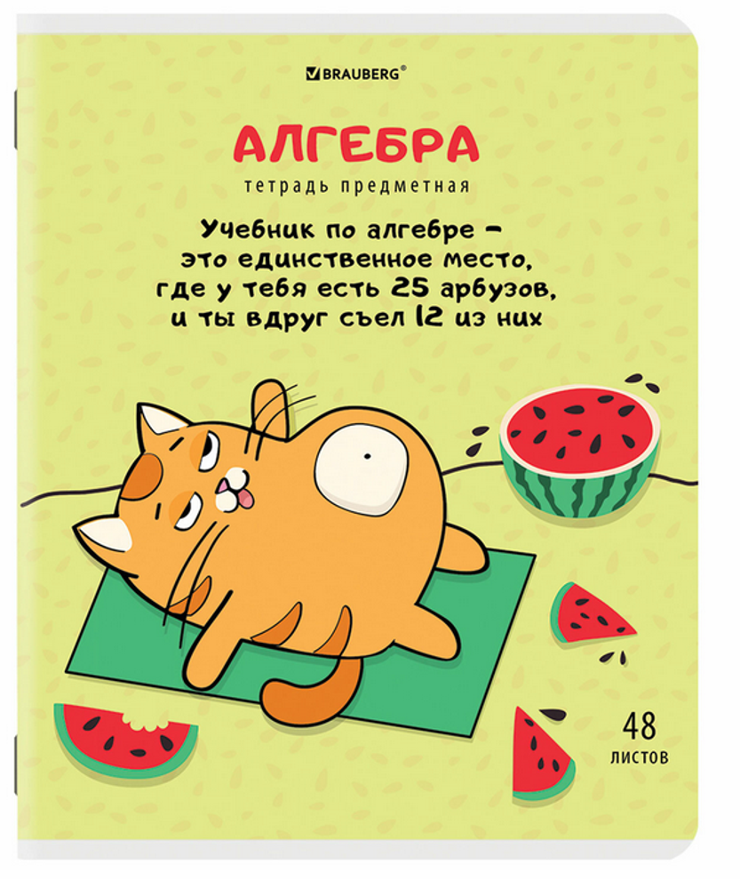 Тетрадь предмет. А5 48л. клетка &quot;Кот-энтузиаст&quot; Алгебра twin лак, подсказки (BRAUBERG)