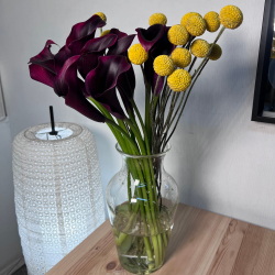 Авторский букет «Вечеринка художников» тёмные каллы и жёлтая краспедия/ Цветы/ букет от RoseMarkt