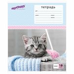 Тетрадь 18 л. ЮНЛАНДИЯ линия, обложка картон, "КОТИКИ", 403583