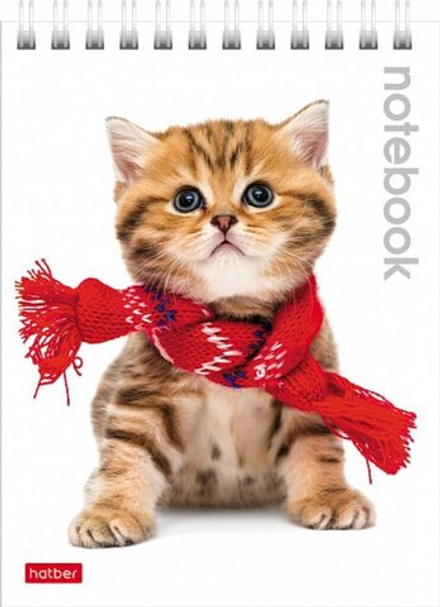 Блокнот А6 40л гребень "Милые котята" клетка