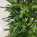 Ель искусственная «Аннабель» (Литая хвоя) 250 см / 2,5 м