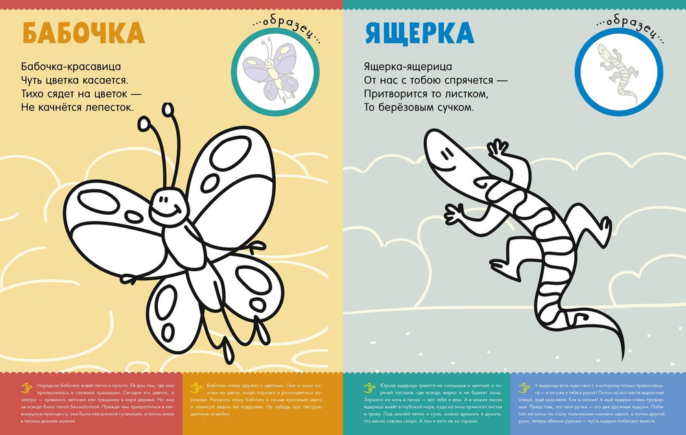 Первая раскраска с наклейками. Кто живёт в лесу?