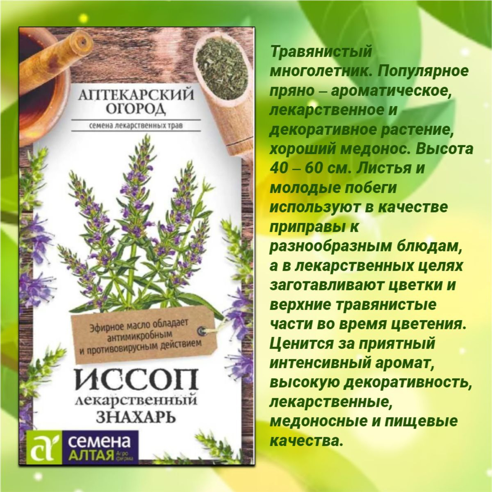 Ароматные травы для вашего огорода: чабер, иссоп, душица, мелиса