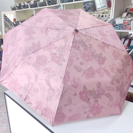 Женский зонт Три Слона, Полный автомат 3880-B-04