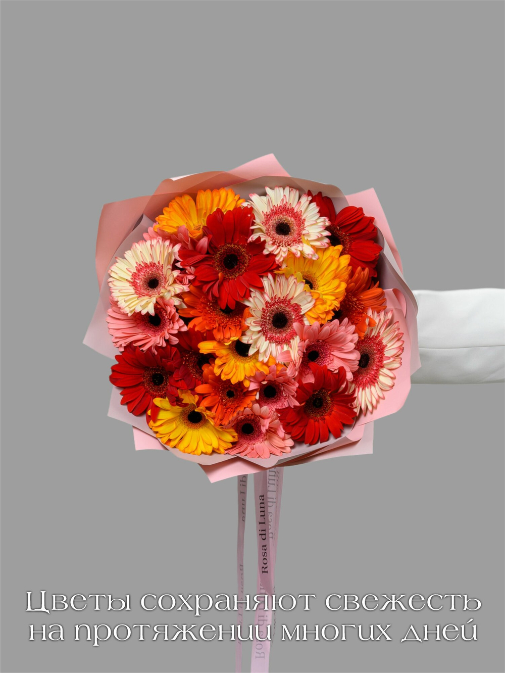 Букет из 21 герберы в,  дизайнерском оформлении, на стеблях, высота 45см