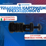 Картридж трехходового клапана (721403800)