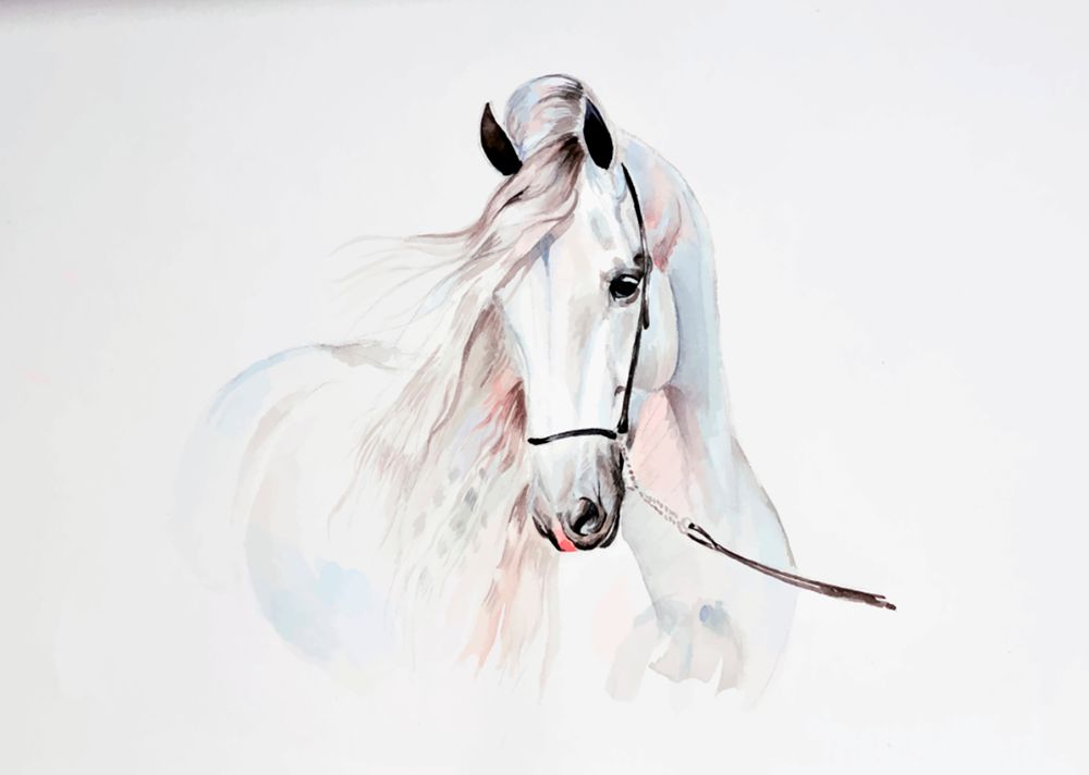 Фотообои белая лошадь 09-039