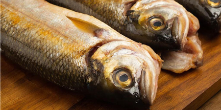 Холодное копчение