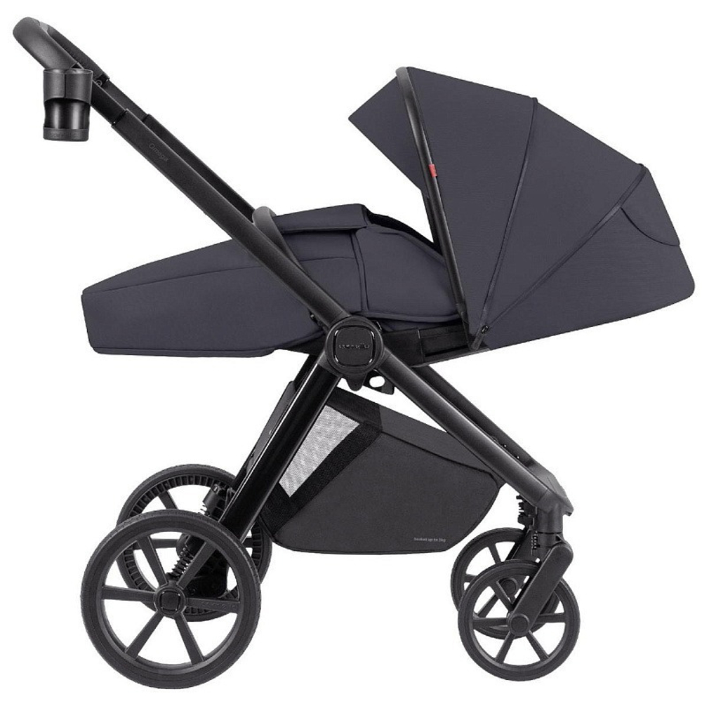 Коляска 2 в 1 Carrello Omega+ CRL-6540/1
