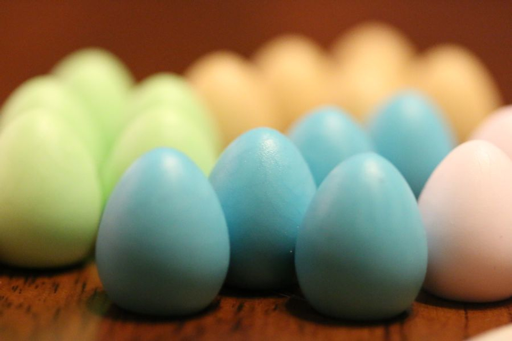 Крылья / Wingspan